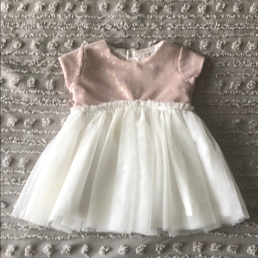 Sequin & Tulle dress (24 months)
